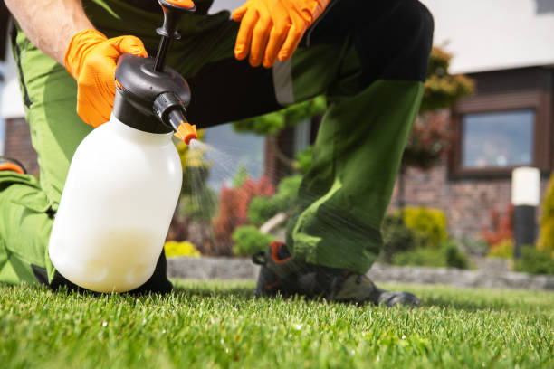 Best Pest Removal Services  in Ford City, PA