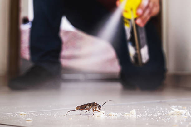 Best Best Pest Control Companies  in Ford City, PA