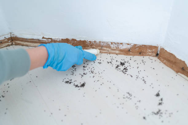 Best Best Pest Control Companies  in Ford City, PA